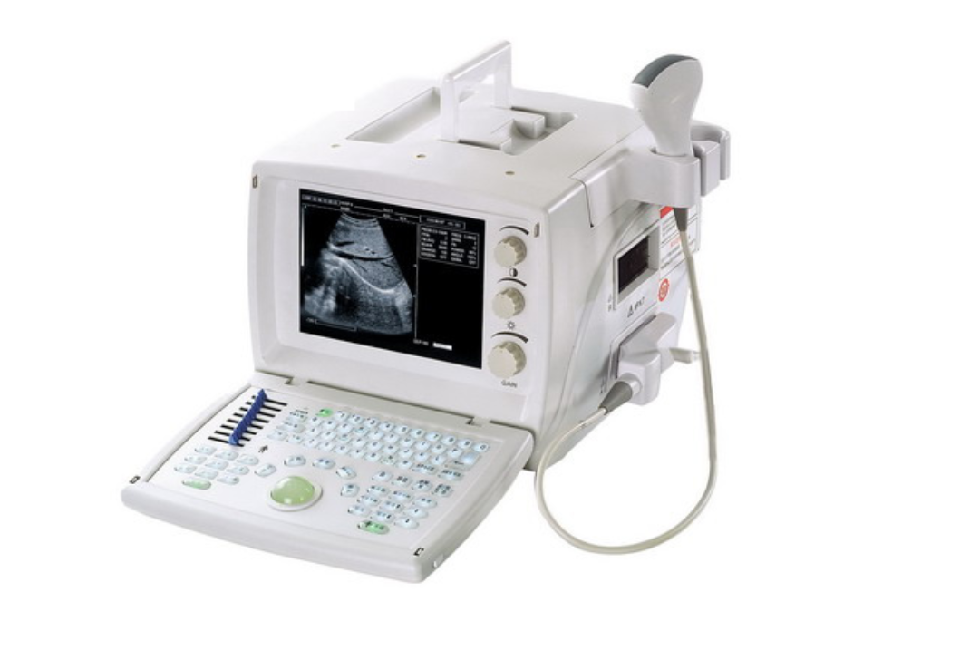 Ultrasound - Vet