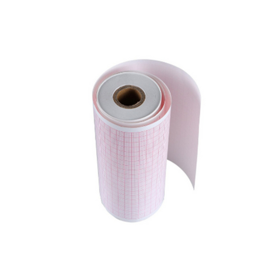 ECG 300g - Paper (80x20x16) - Pack of 10